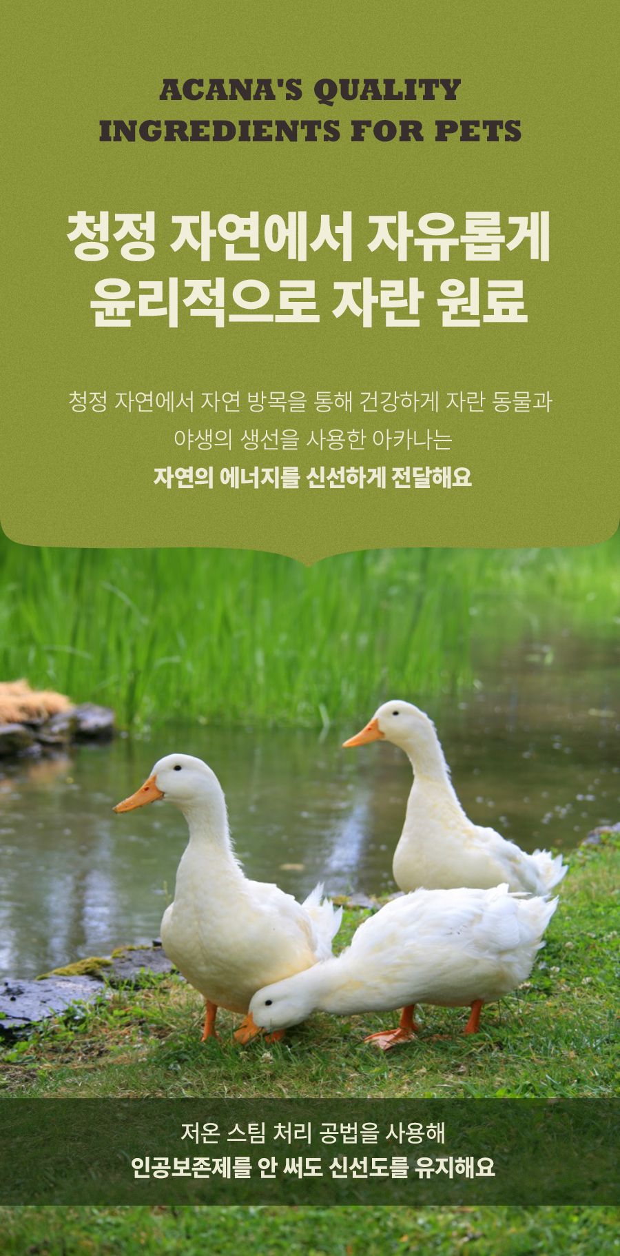 [유통기한임박, 26년3월9일] 아카나 캣 그래스랜드 1.8kg 6번째