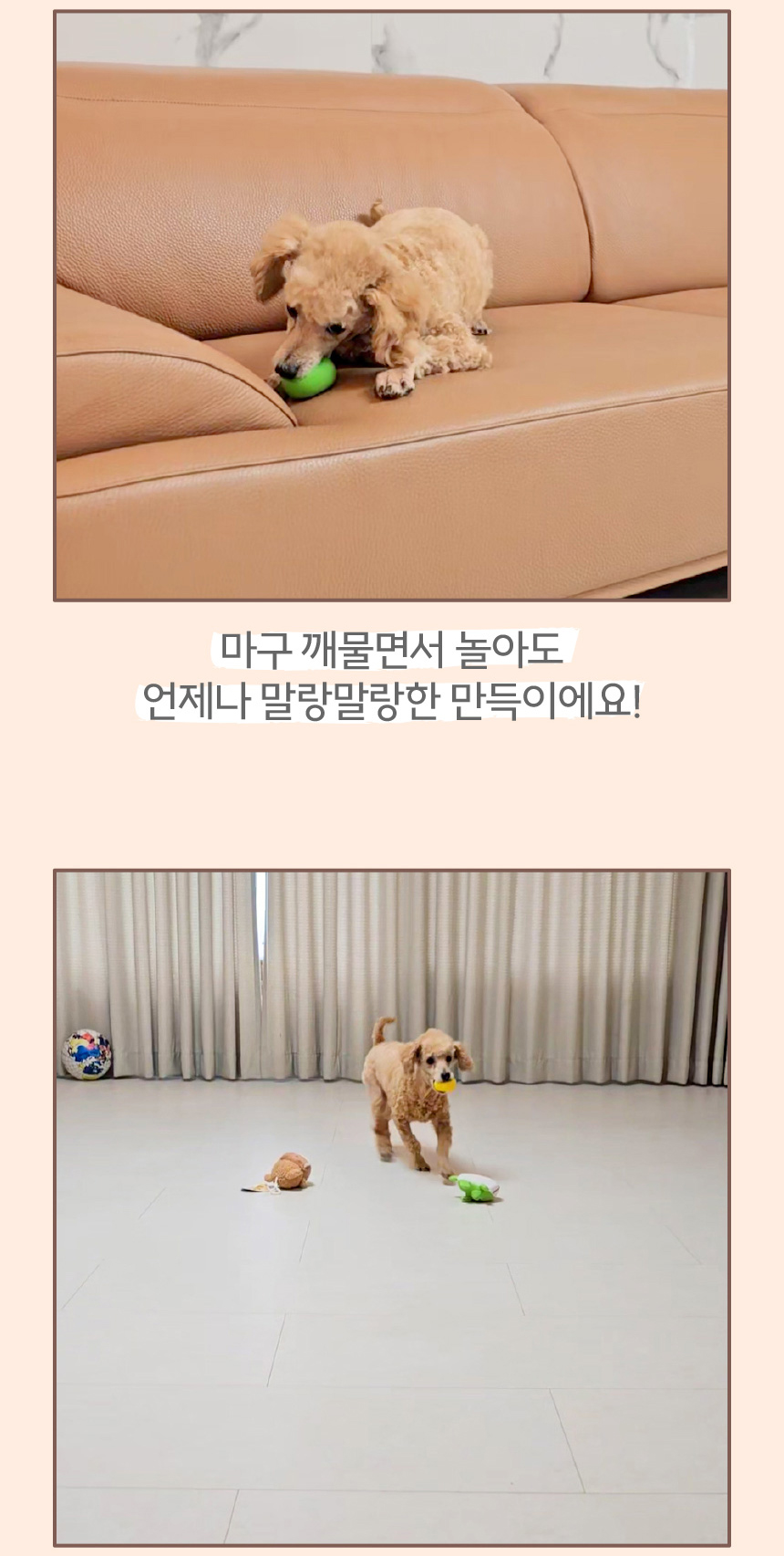 [무료배송] 애구애구 독 삑삑이 라텍스공 만득이 장난감 6종 세트 3번째