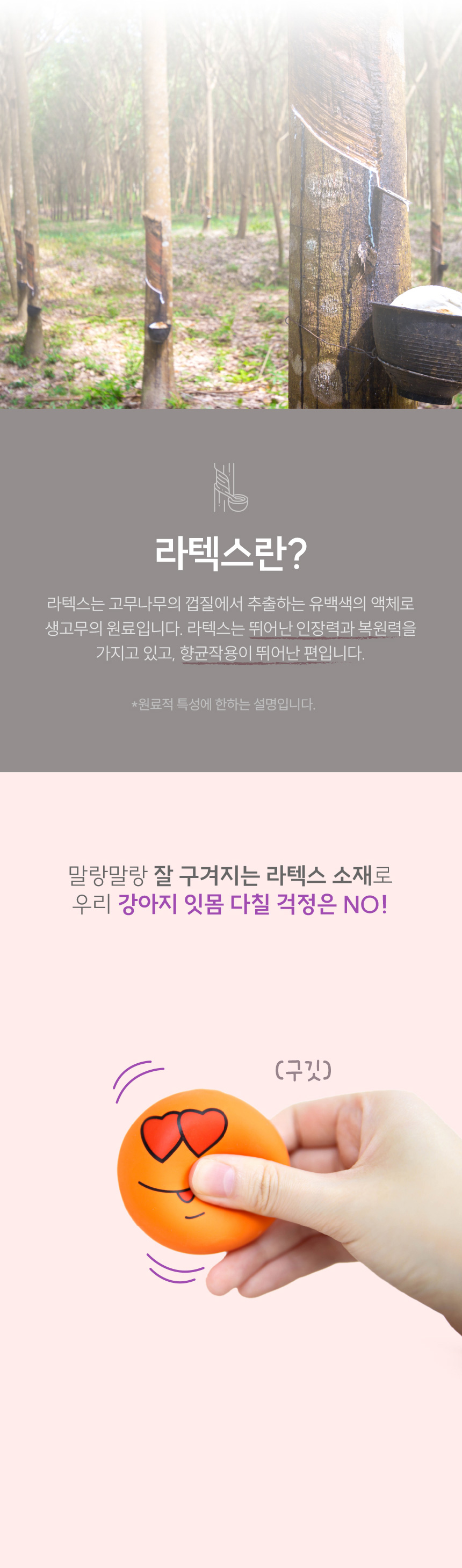 [무료배송] 애구애구 독 삑삑이 라텍스공 만득이 장난감 6종 세트 8번째