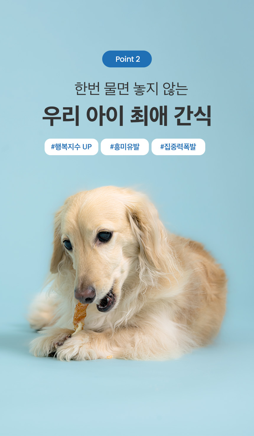 [NEW신상][무료배송] 예스몽 독 오리말이 스틱껌 240g 6번째