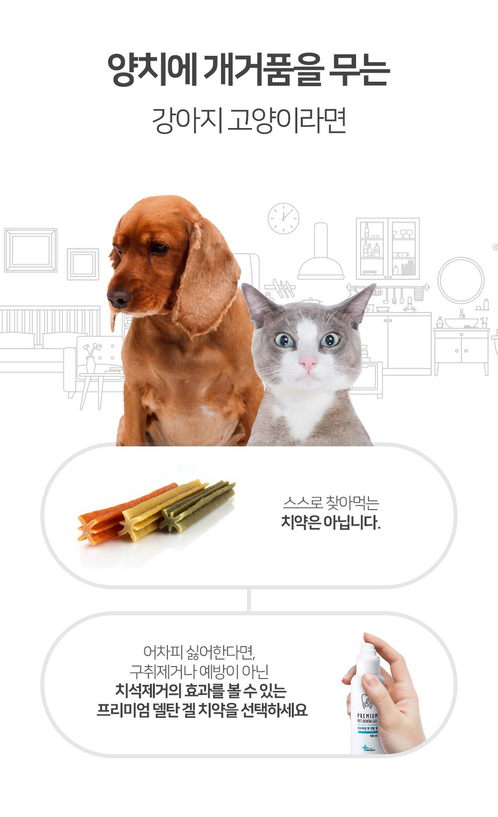 [유통기한임박, 25년12월19일] 마이펫닥터 펫 덴탈 겔 100ml 7번째