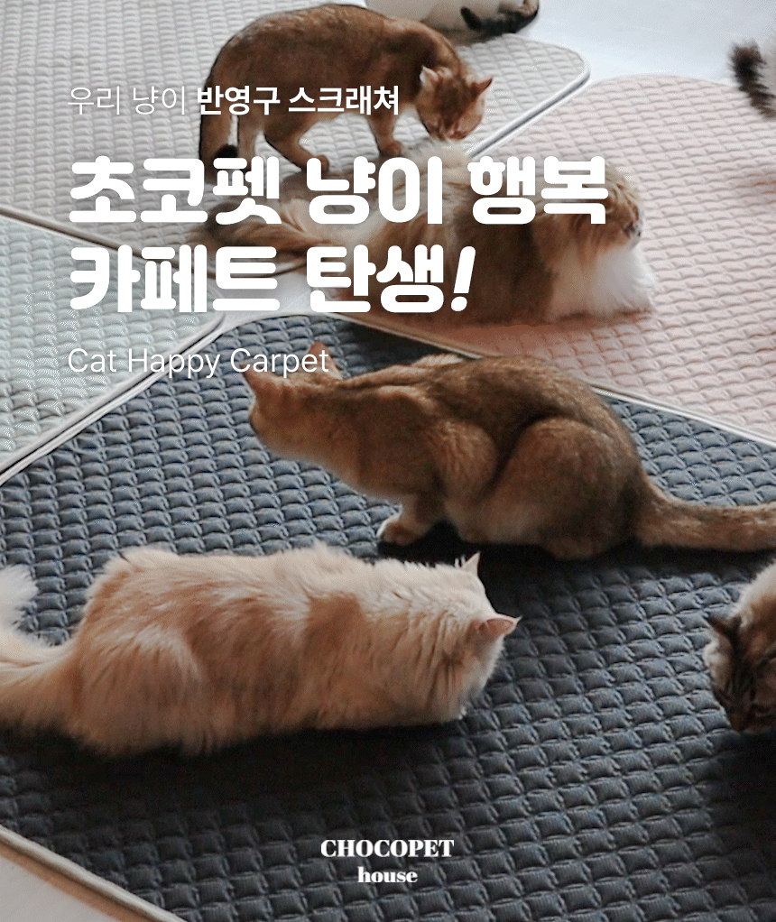 [무료배송] 초코펫하우스 캣 반영구 놀이방 냥이 행복 카페트 스크래쳐 2번째