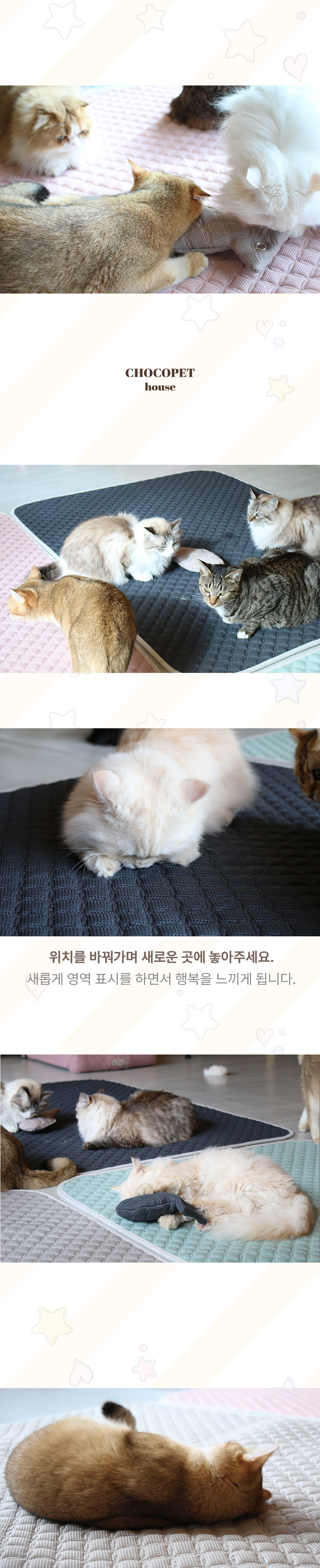 [무료배송] 초코펫하우스 캣 반영구 놀이방 냥이 행복 카페트 스크래쳐 16번째