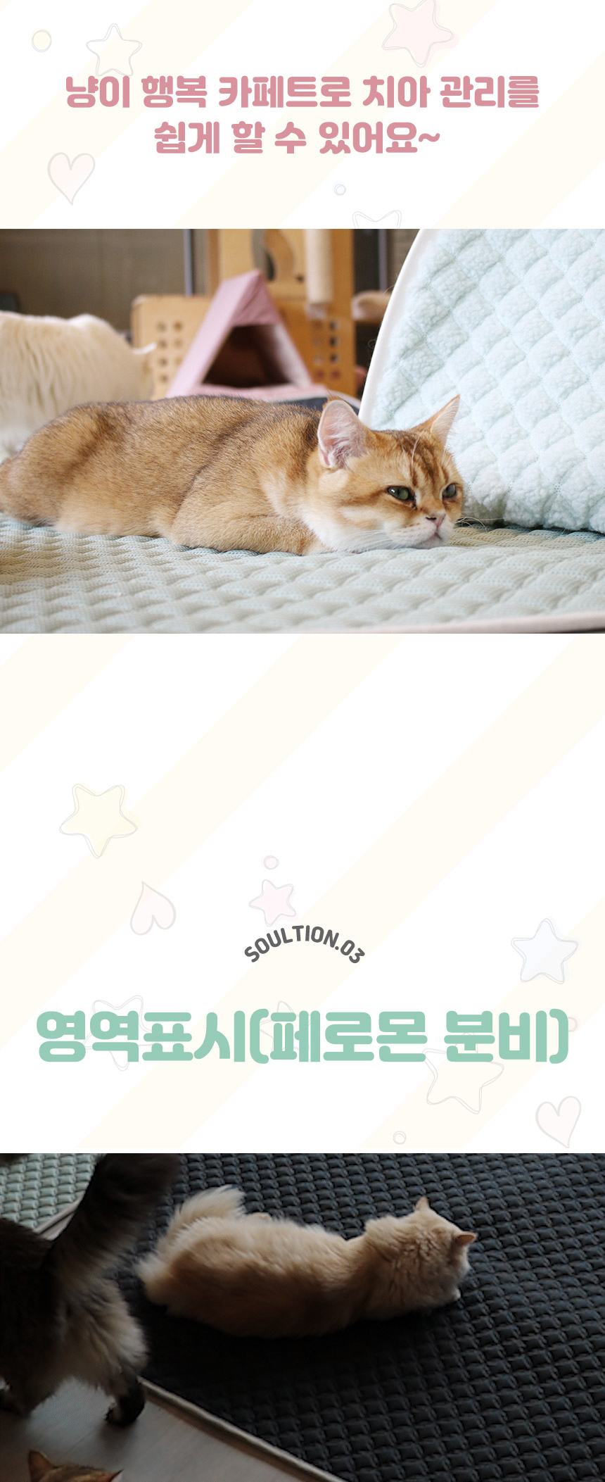 [무료배송] 초코펫하우스 캣 반영구 놀이방 냥이 행복 카페트 스크래쳐 14번째