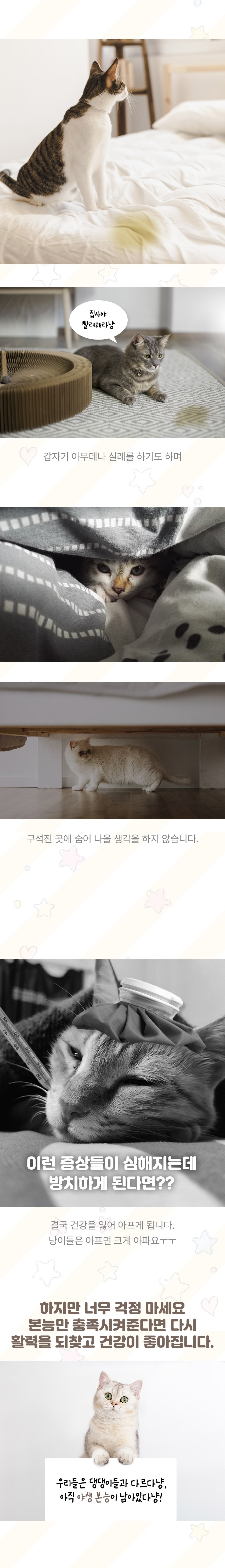 [무료배송] 초코펫하우스 캣 반영구 놀이방 냥이 행복 카페트 스크래쳐 7번째
