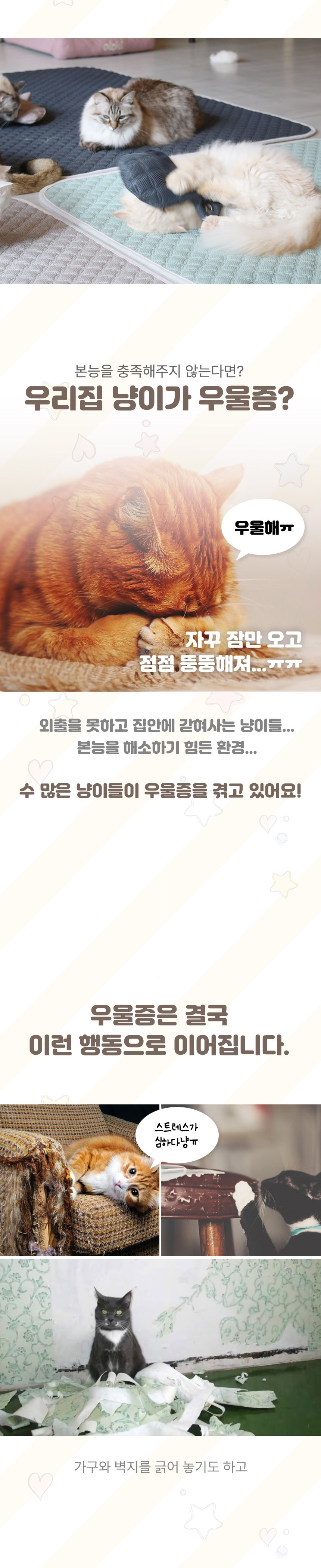 [무료배송] 초코펫하우스 캣 반영구 놀이방 냥이 행복 카페트 스크래쳐 6번째