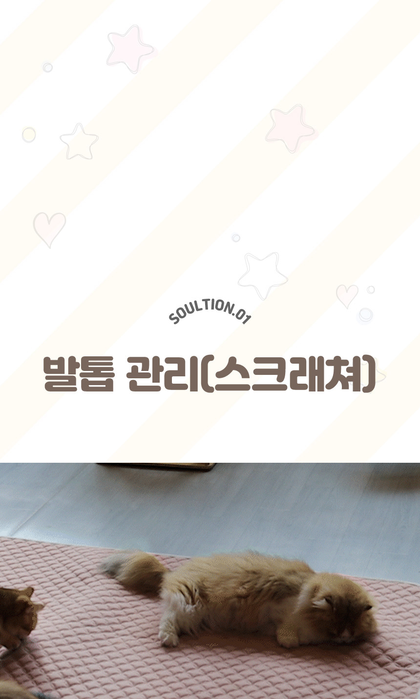 [무료배송] 초코펫하우스 캣 반영구 놀이방 냥이 행복 카페트 스크래쳐 8번째