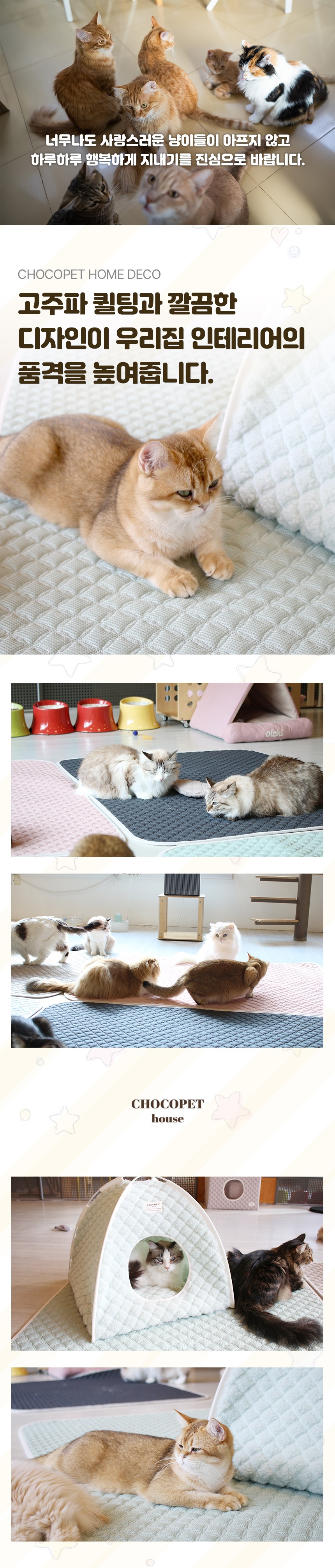 [무료배송] 초코펫하우스 캣 반영구 놀이방 냥이 행복 카페트 스크래쳐 24번째