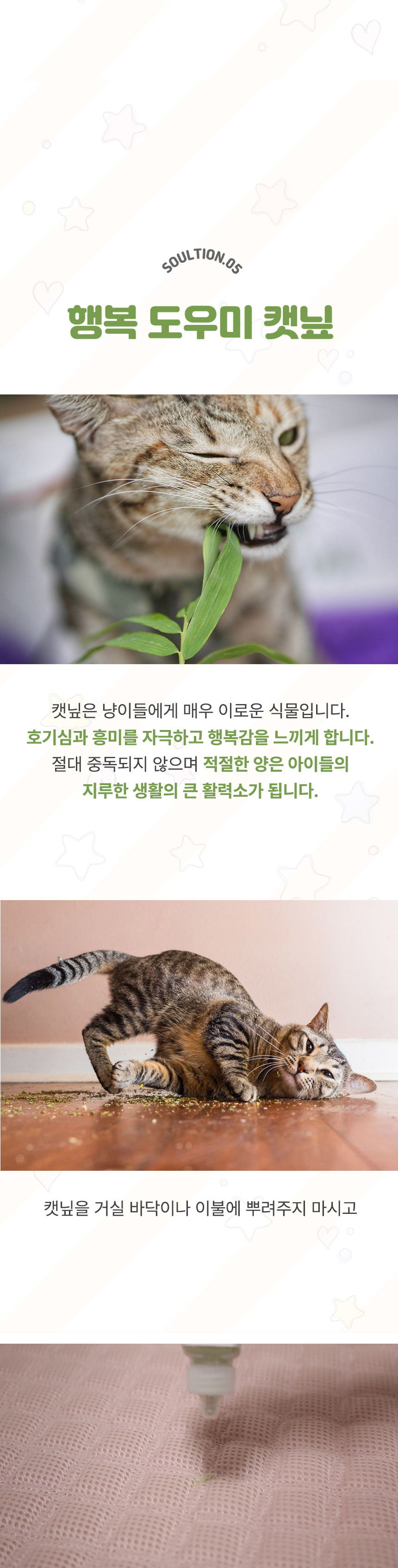 [무료배송] 초코펫하우스 캣 반영구 놀이방 냥이 행복 카페트 스크래쳐 20번째