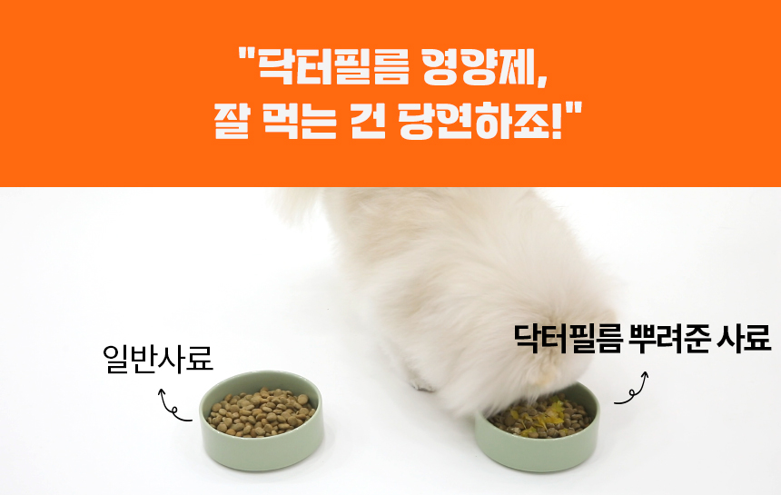 [무료배송] 닥터필름 포아이 밀크씨슬 필름 영양제 눈 눈물자국 간 보조제 30포 4번째