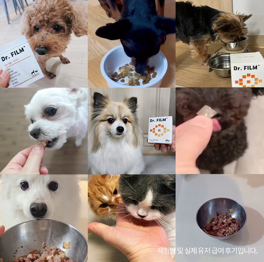[무료배송] 닥터필름 포아이 밀크씨슬 필름 영양제 눈 눈물자국 간 보조제 30포 6번째