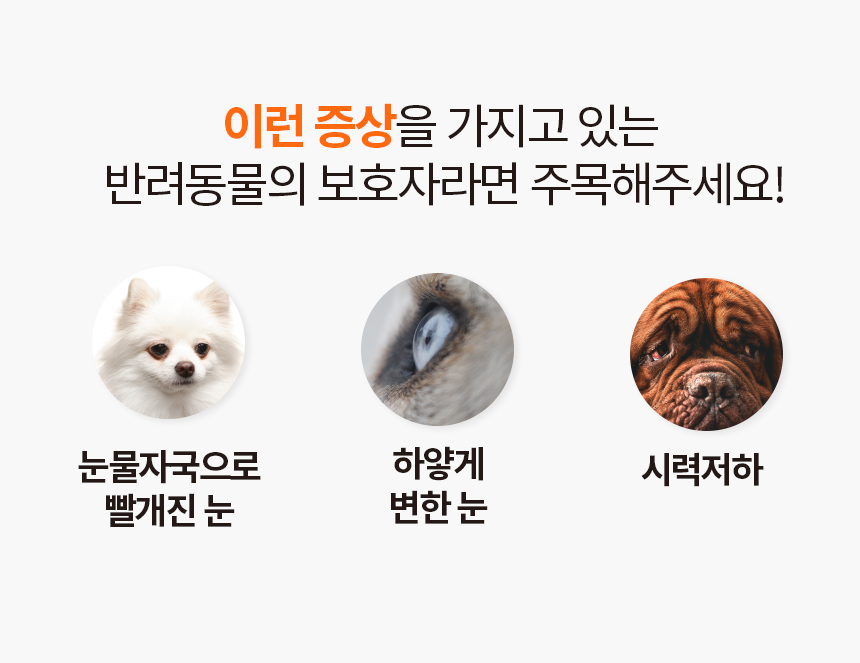 [무료배송] 닥터필름 포아이 밀크씨슬 필름 영양제 눈 눈물자국 간 보조제 30포 9번째