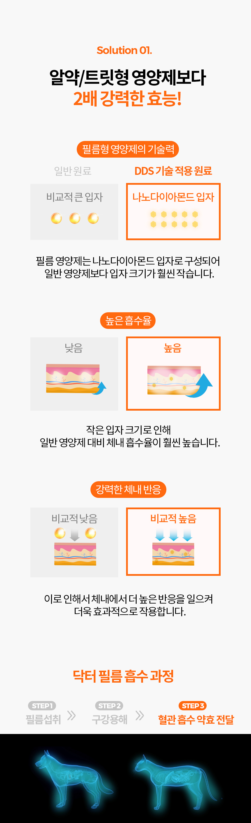 [무료배송] 닥터필름 포아이 밀크씨슬 필름 영양제 눈 눈물자국 간 보조제 30포 13번째