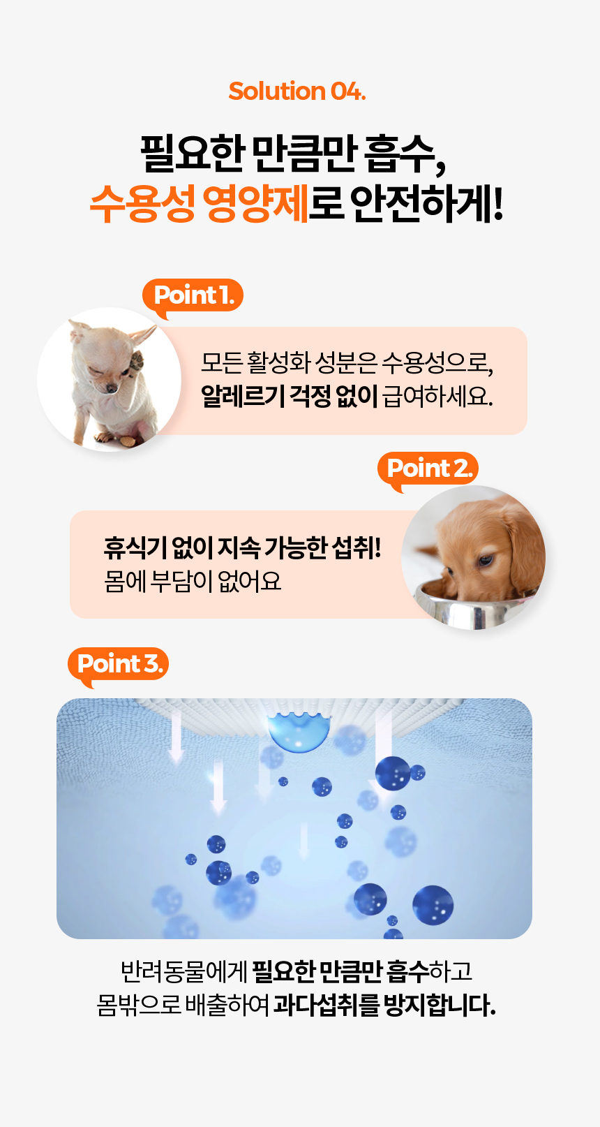 [무료배송] 닥터필름 포아이 밀크씨슬 필름 영양제 눈 눈물자국 간 보조제 30포 22번째