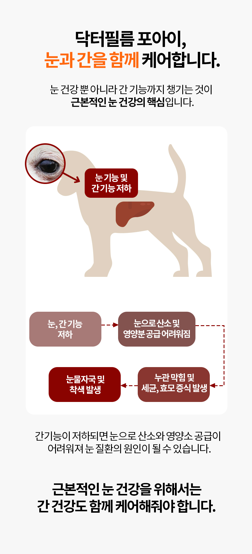 [무료배송] 닥터필름 포아이 밀크씨슬 필름 영양제 눈 눈물자국 간 보조제 30포 16번째