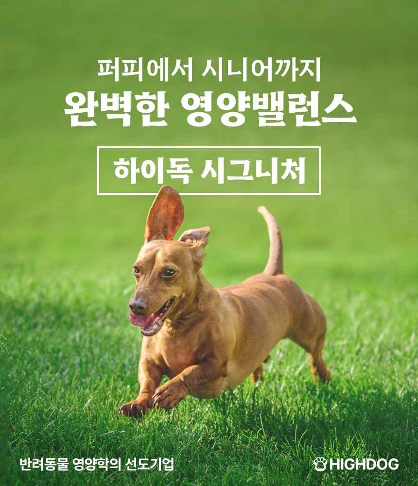 [무료배송] 하이독 시그니처 연어 화식 100g*20팩 2번째