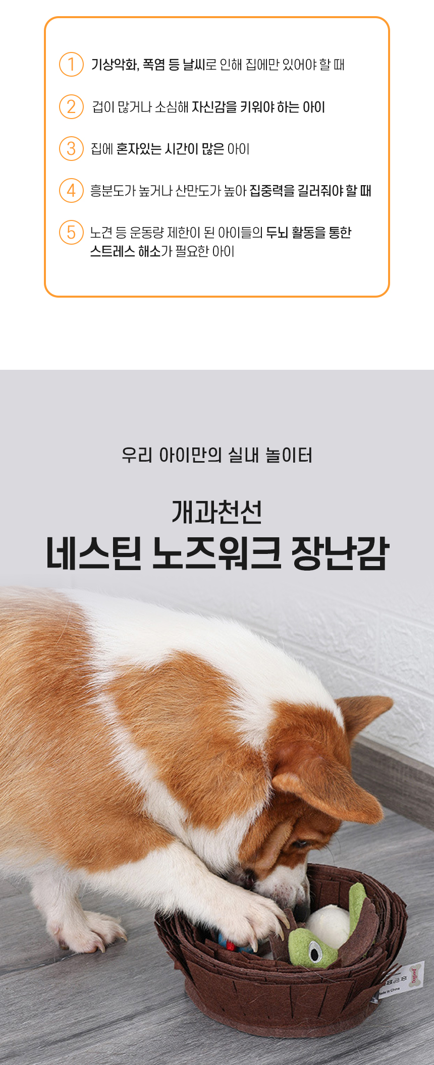 [NEW신상][무료배송] 개과천선 독 네스틴 노즈워크 장난감 2번째