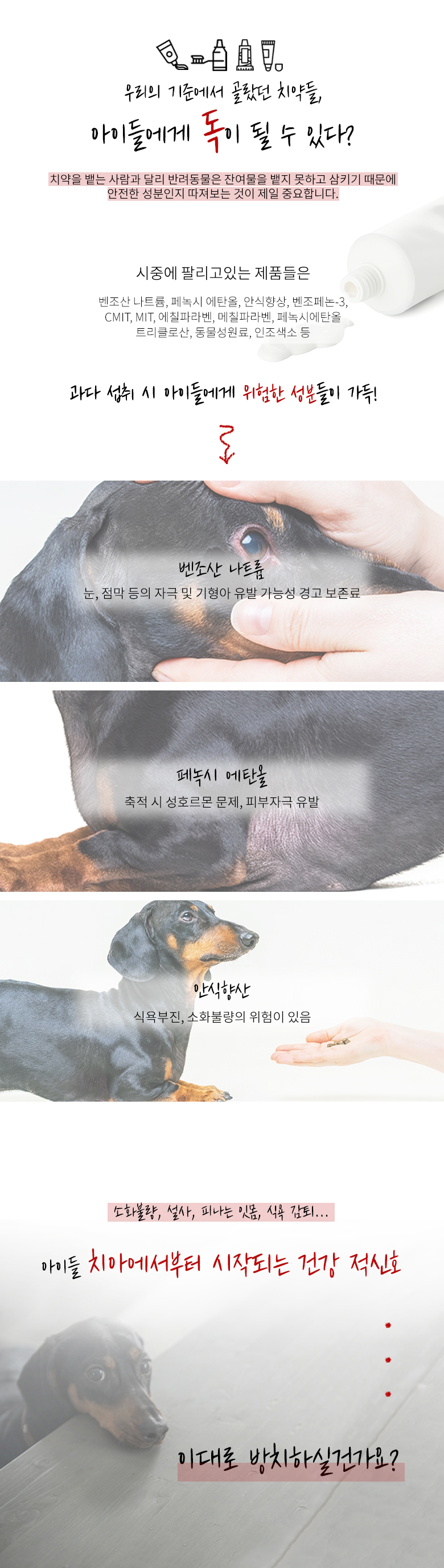 [무료배송] 정글몬스터 냥치멍치 70g 2번째