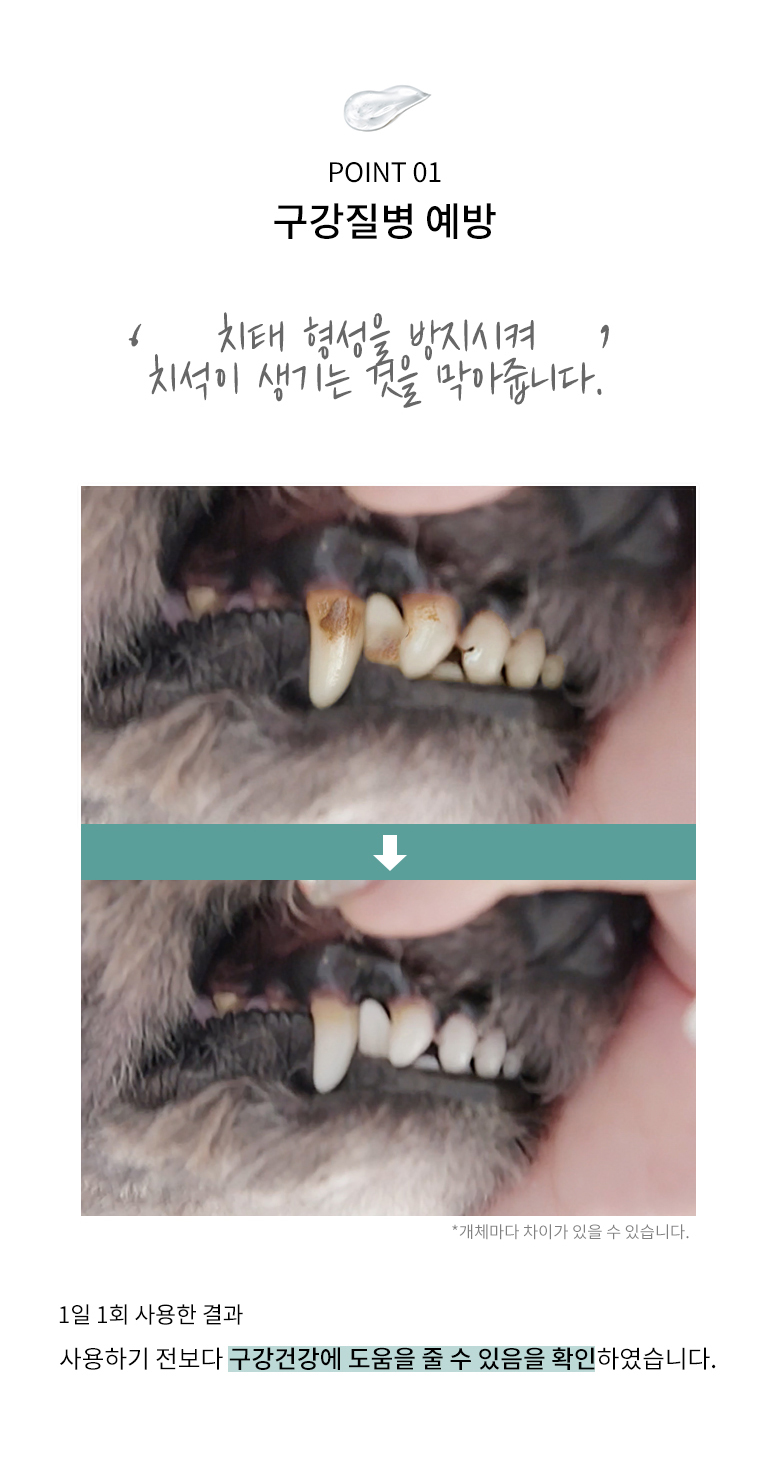 [무료배송] 정글몬스터 냥치멍치 70g 4번째