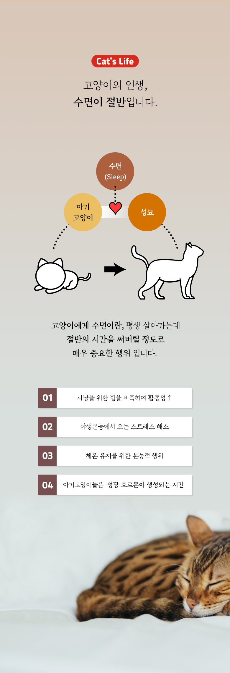 [무료배송] 모넬로 썬베드 고양이 스크래쳐 해먹 GO20120 3번째