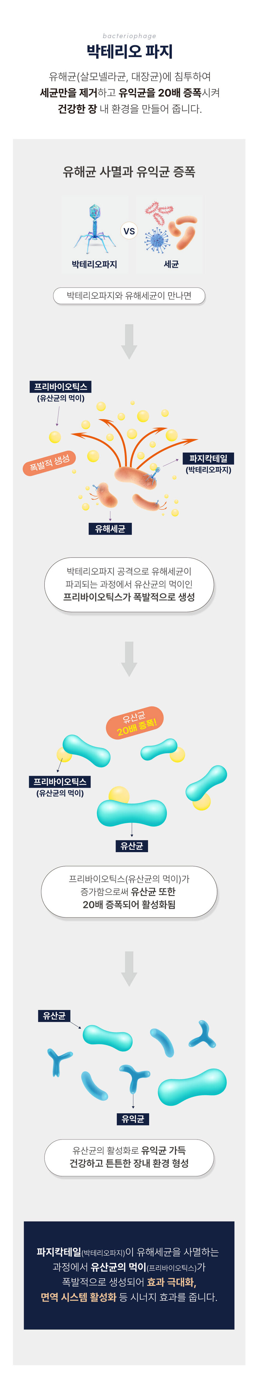 [NEW신상][무료배송] 올바른끼니 알파 2종 샘플 맛보기 100g 15번째