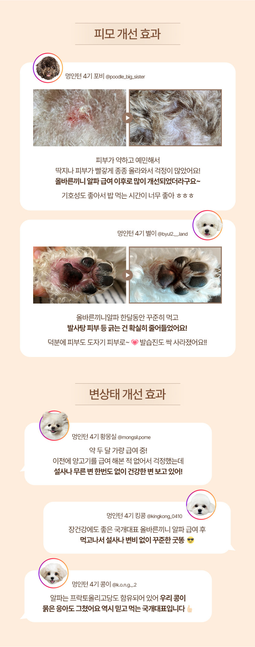 [NEW신상][무료배송] 올바른끼니 알파 2종 샘플 맛보기 100g 4번째
