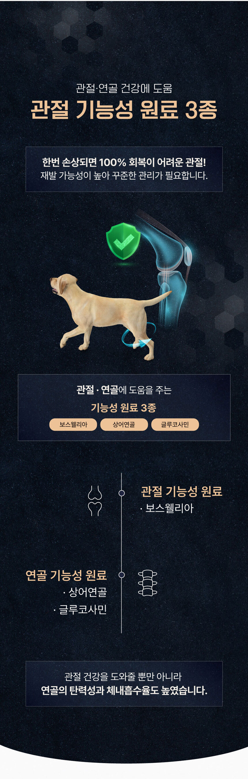 [NEW신상][무료배송] 올바른끼니 알파 2종 샘플 맛보기 100g 18번째