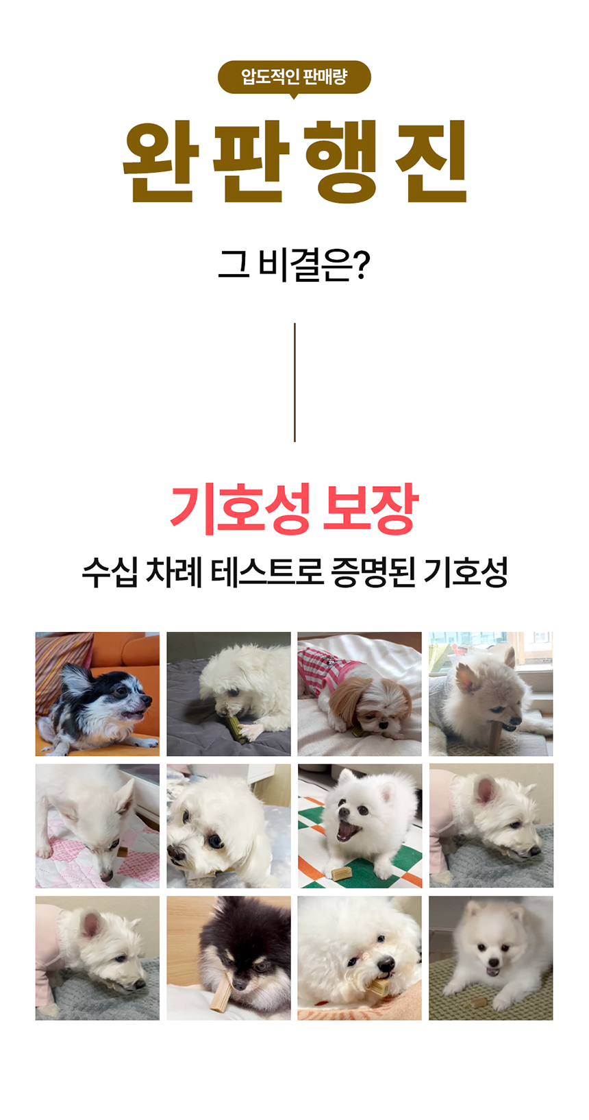 [무료배송] 닥터뉴트리코어 하이포알러지500 4번째