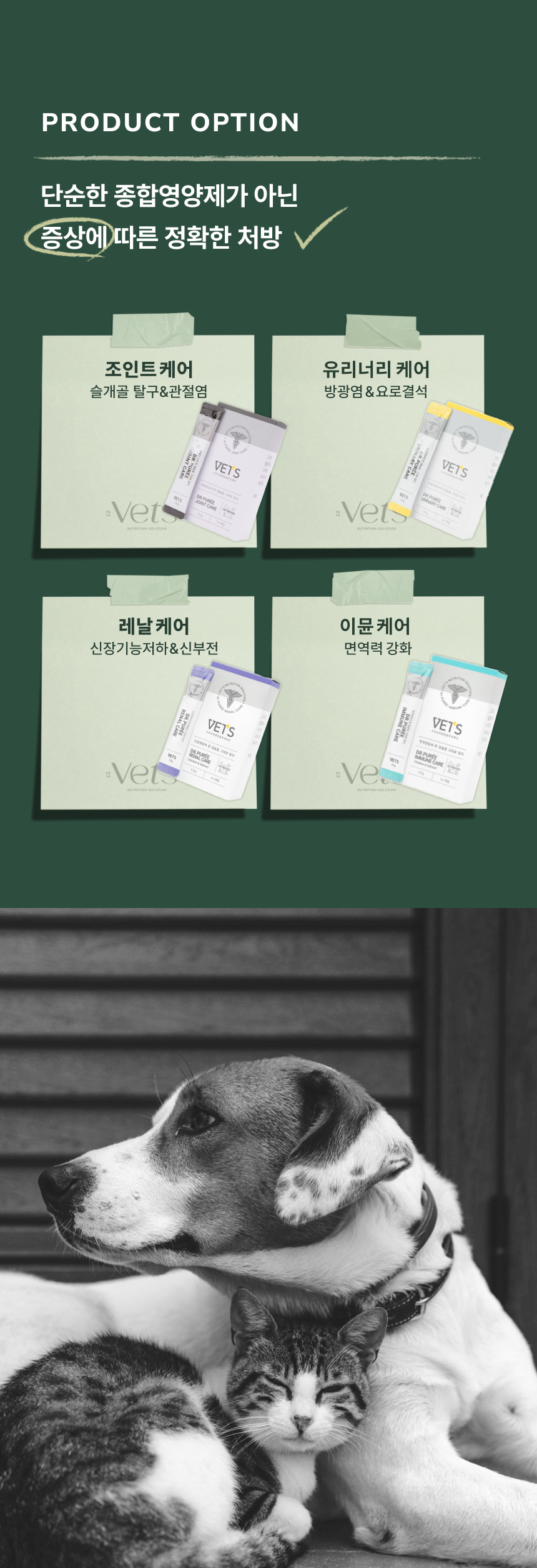 베츠 닥터퓌레 이뮨케어 30p 9번째