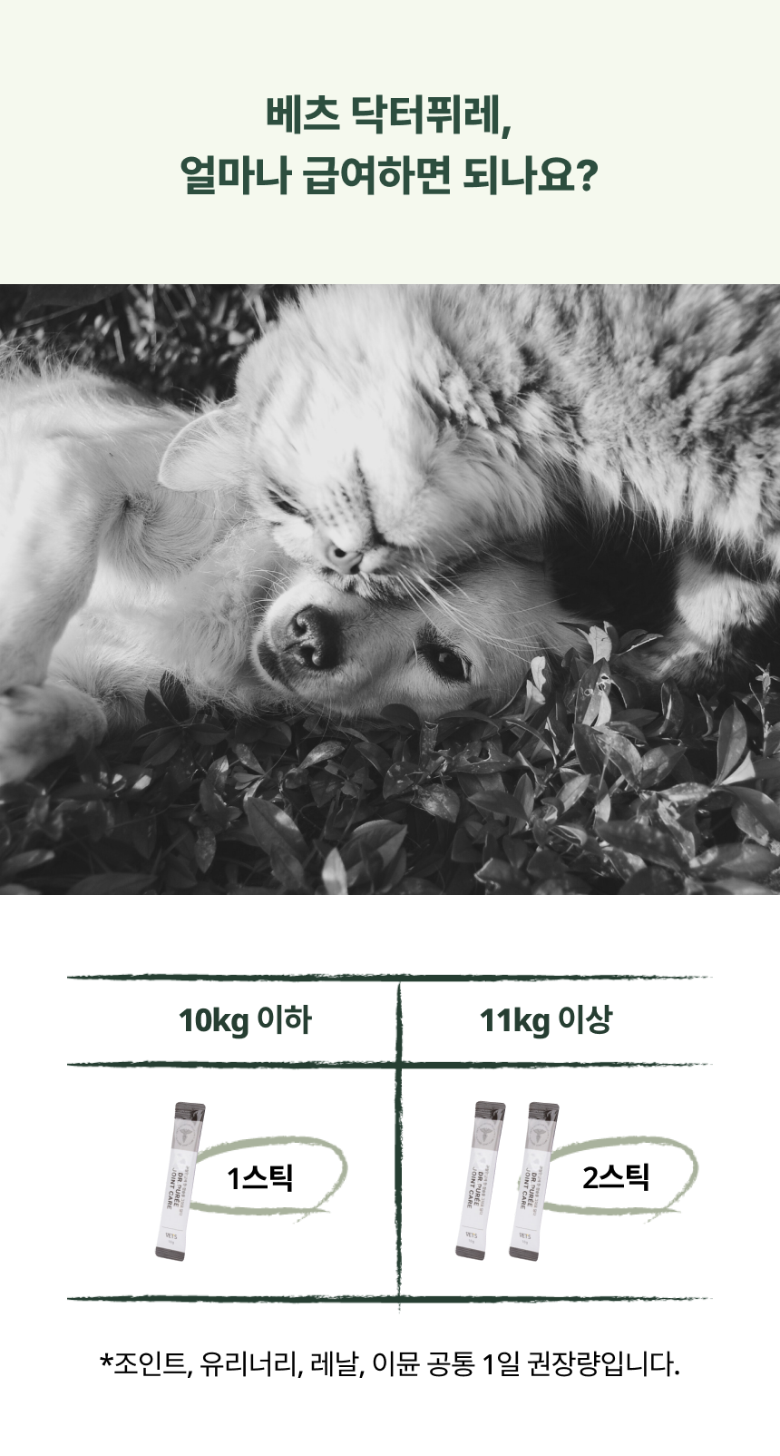 베츠 닥터퓌레 이뮨케어 30p 13번째