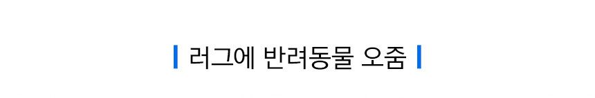 [무료배송] 비쎌 스팟클린 프로히트 11번째