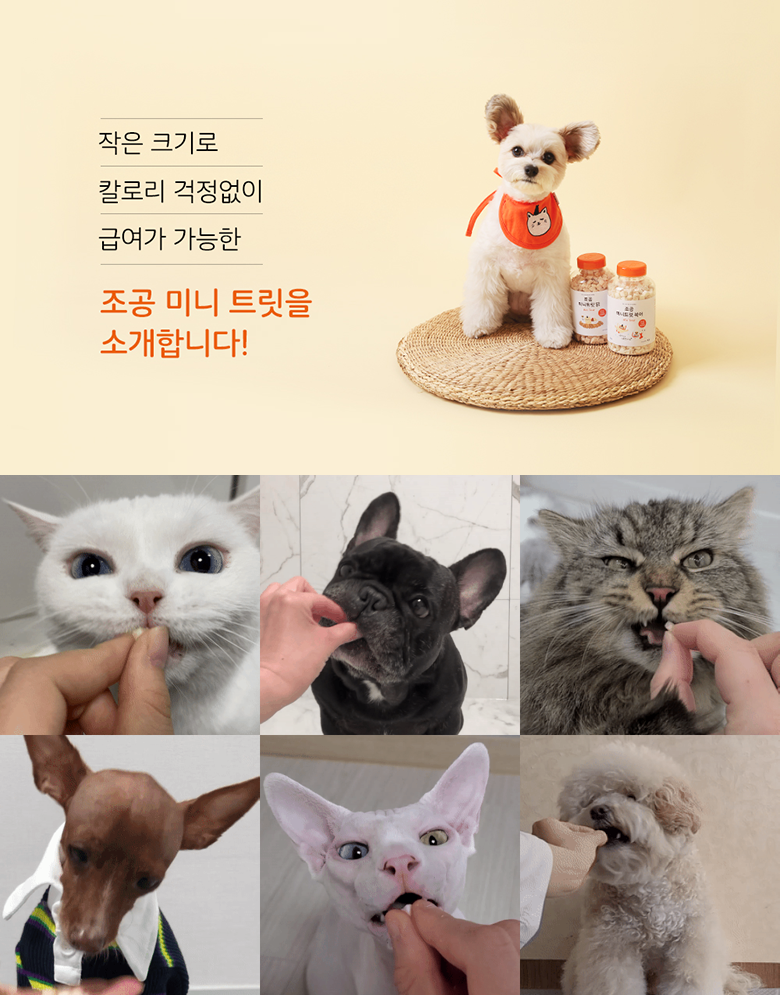조공 미니트릿 닭 80g 2번째