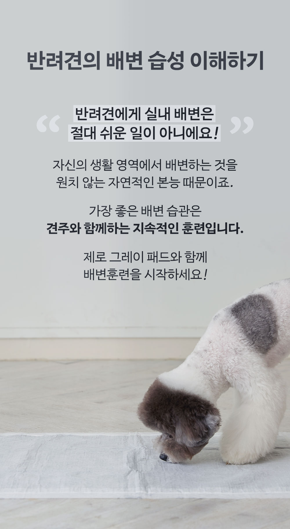 [무료배송] 피피픽 제로그레이패드 안전한 배변패드 L (76x54cm) 21번째