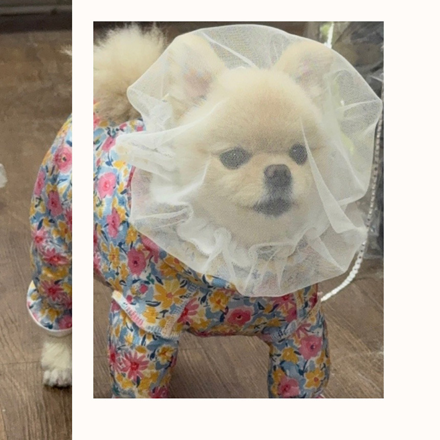 [무료배송] 해피앤퍼피 조끼 버그가드 2종 (올인원/ 페이스커버) 25번째