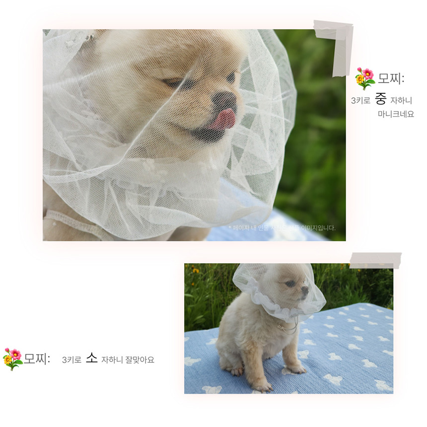 [무료배송] 해피앤퍼피 조끼 버그가드 2종 (올인원/ 페이스커버) 28번째