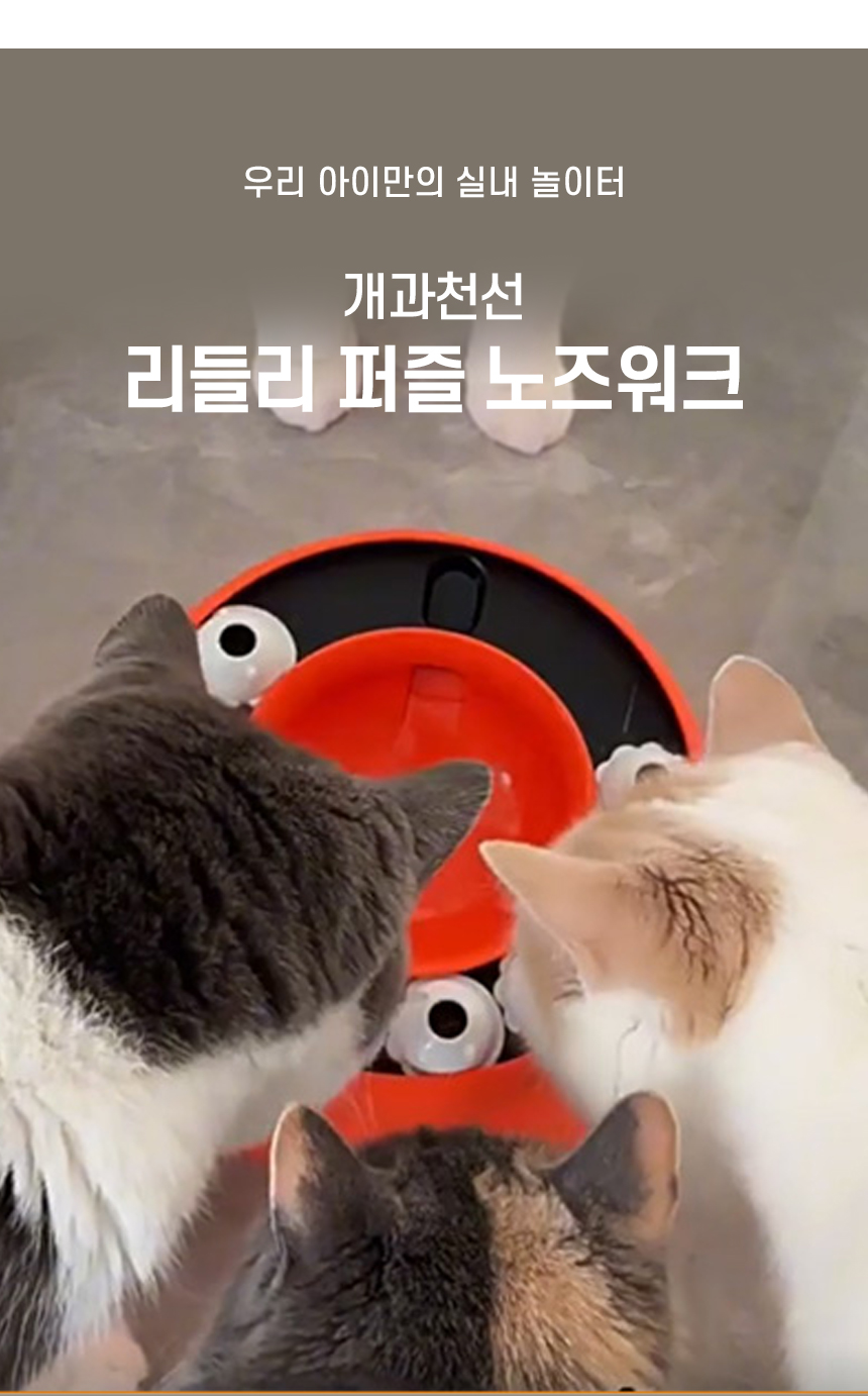 [NEW신상][무료배송] 개과천선 리들리 퍼즐 노즈워크 장난감 2번째