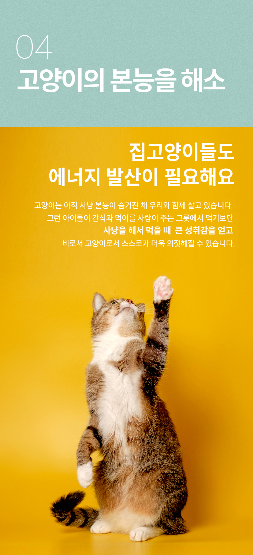 [무료배송] 캣츠태그 의젓한 고양이 노즈워크 장난감 조약돌 ABC세트 11번째