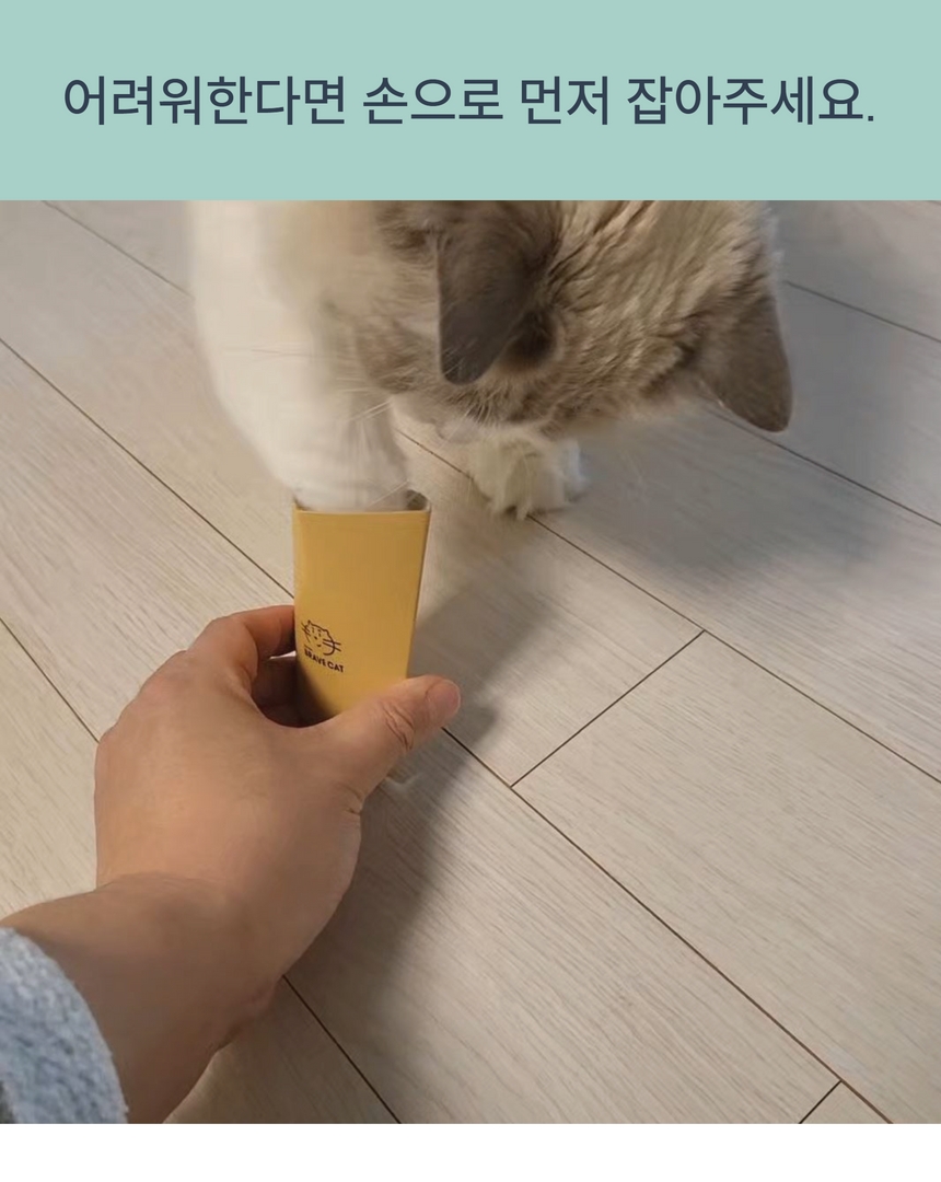 [무료배송] 캣츠태그 의젓한 고양이 노즈워크 장난감 조약돌 ABC세트 7번째