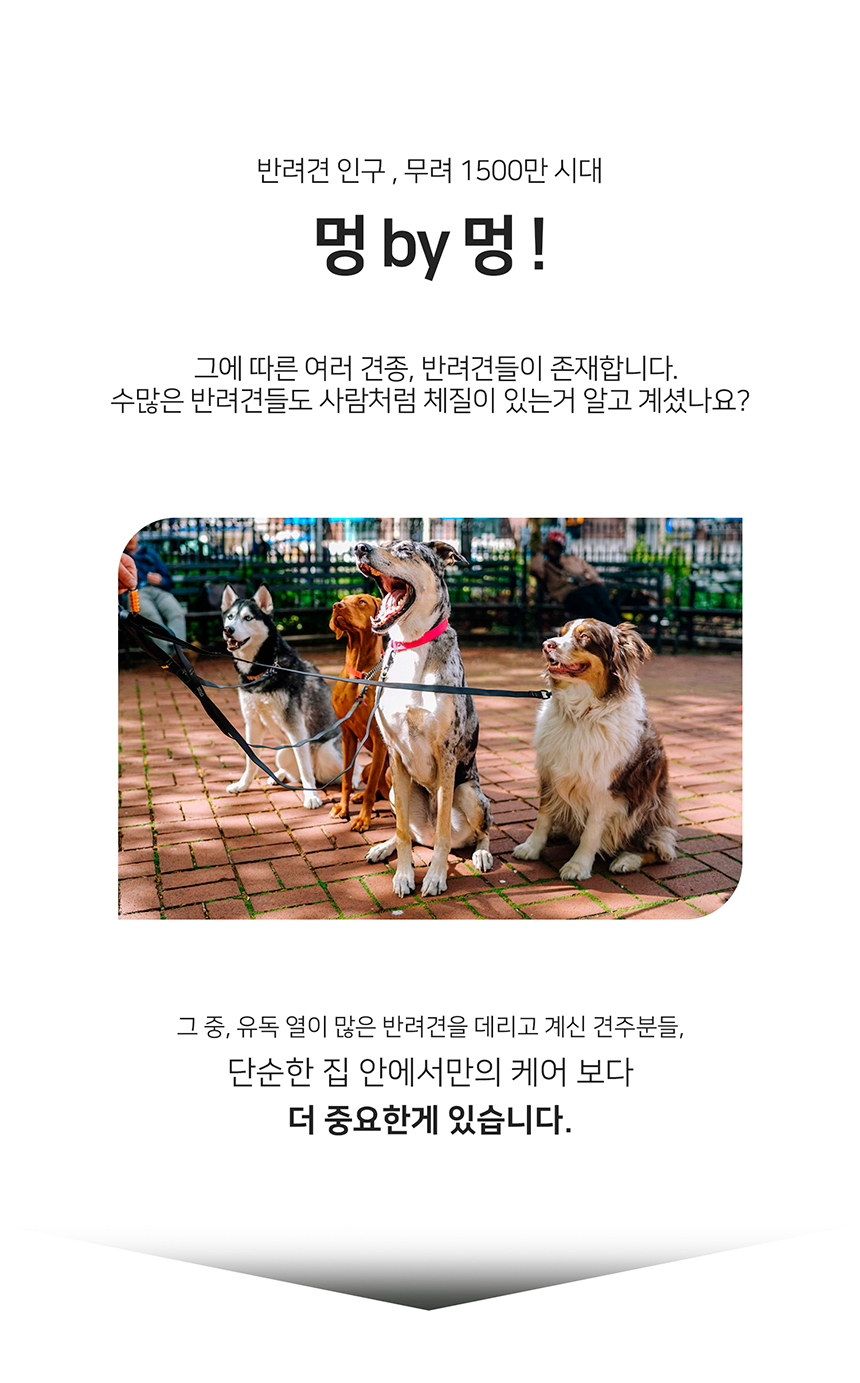 [무료배송] 니즈더펫 인터라켄 에어 쿨링 하네스 XXS-L 4번째