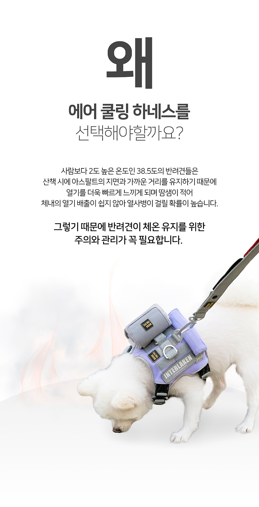 [무료배송] 니즈더펫 인터라켄 에어 쿨링 하네스 XXS-L 12번째