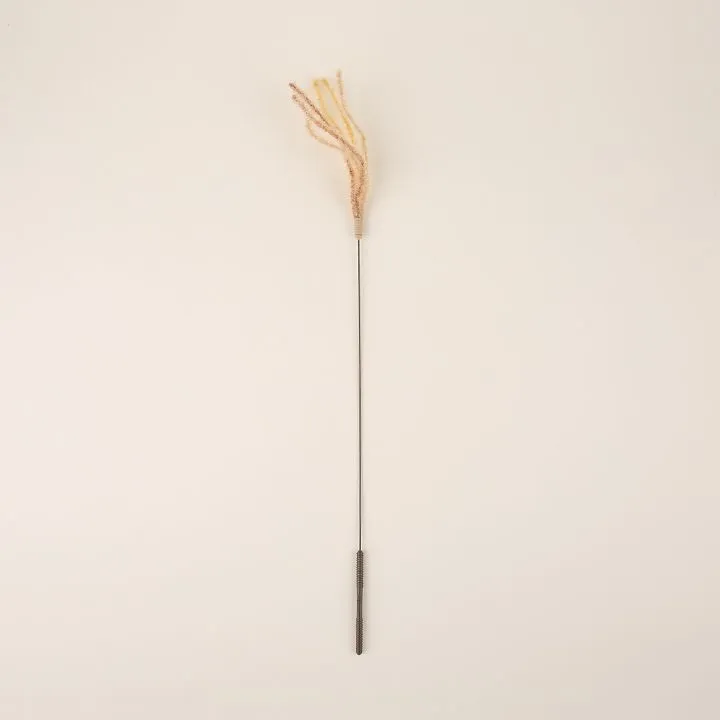 캐티맨 억새풀 대