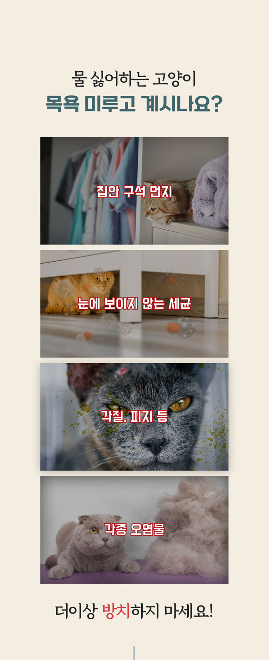 [NEW신상]페피릴리프 고양이 대나무 페이셜티슈 10팩 1번째