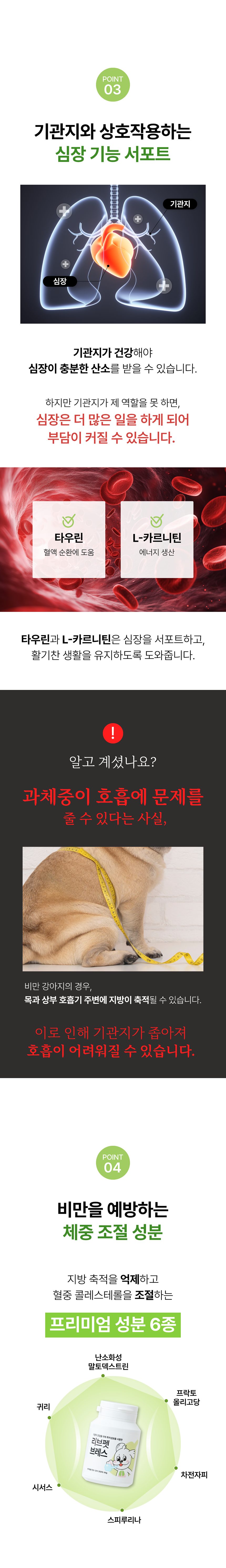 리브펫 브레스 기관지 영양제 60g 9번째