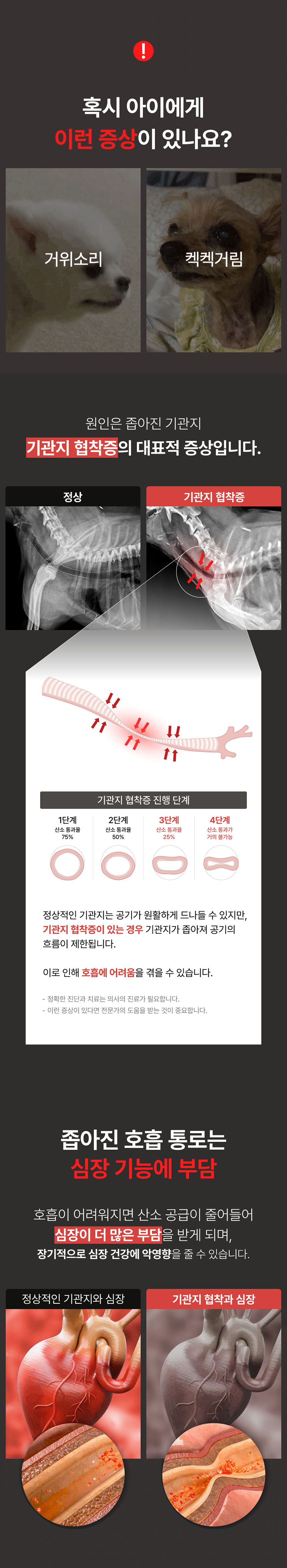 리브펫 브레스 기관지 영양제 60g 2번째