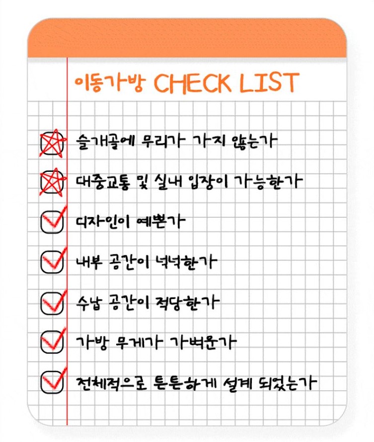 [NEW신상][무료배송] 개과천선 베리빅 이동가방 (라이트 아이보리/그레이) 3번째