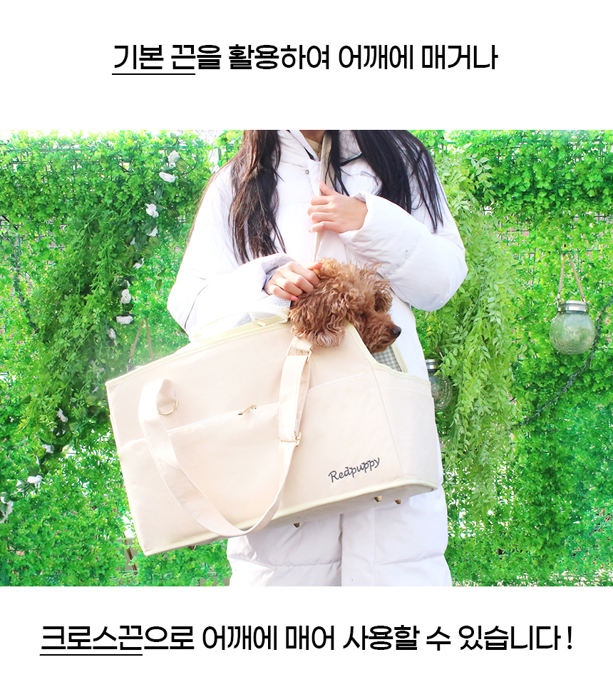 [NEW신상][무료배송] 개과천선 베리빅 이동가방 (라이트 아이보리/그레이) 19번째