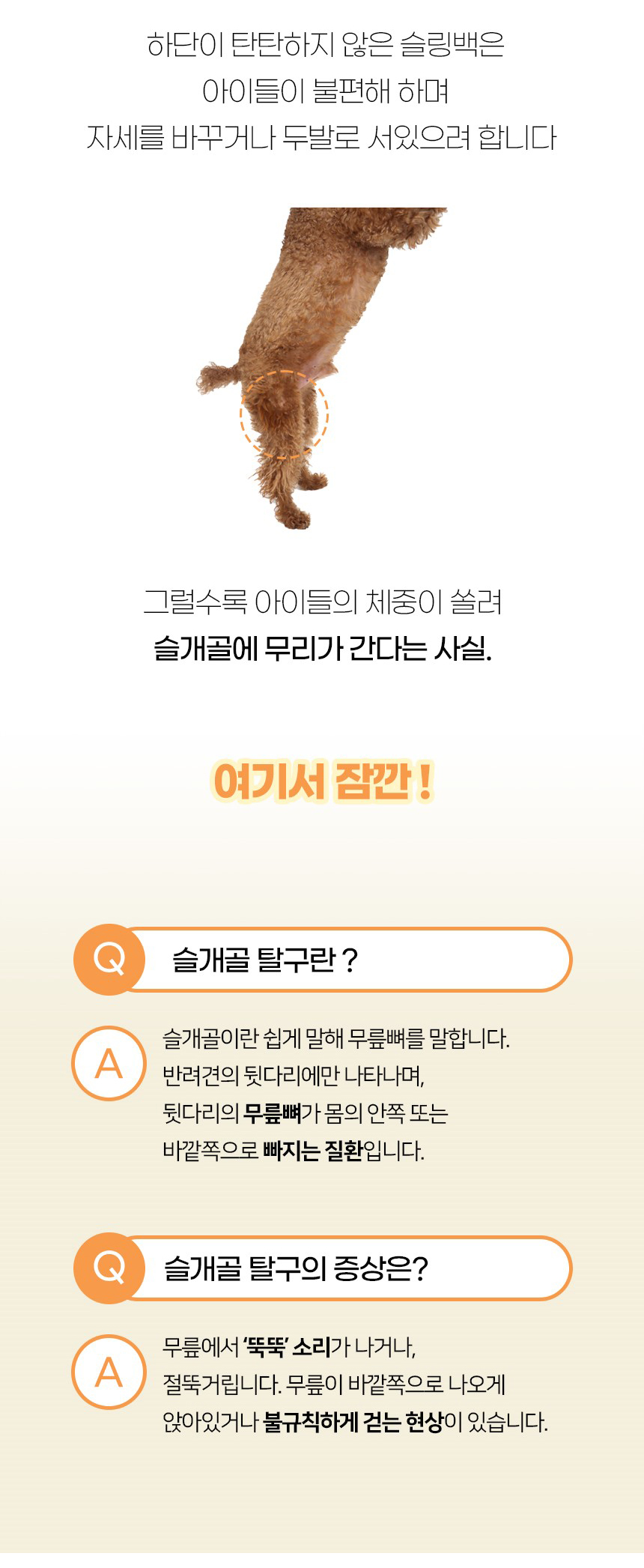 [NEW신상][무료배송] 개과천선 베리빅 이동가방 (라이트 아이보리/그레이) 6번째
