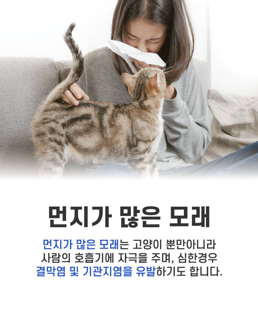 [무료배송][2개] 캣츠태그 묘래 더 블루 먼지없는 고양이 모래 8kg 2번째