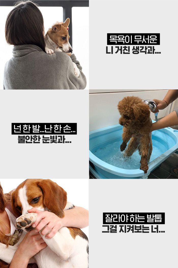 [체험단][무료배송] 샘슨살롱 미용 의자 30번째