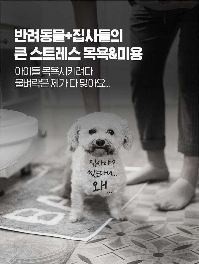 [체험단][무료배송] 샘슨살롱 미용 의자 7번째